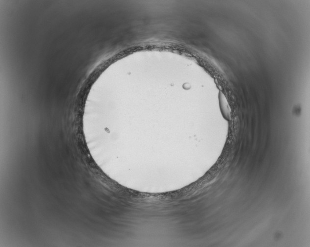 X0000116601160201001221252