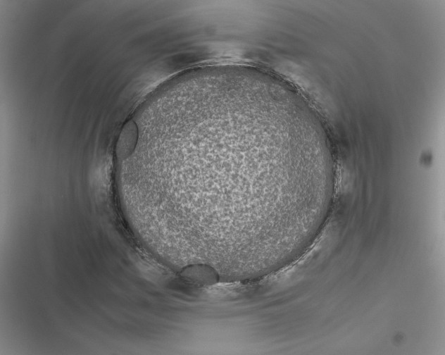 X0000116601161201001221252
