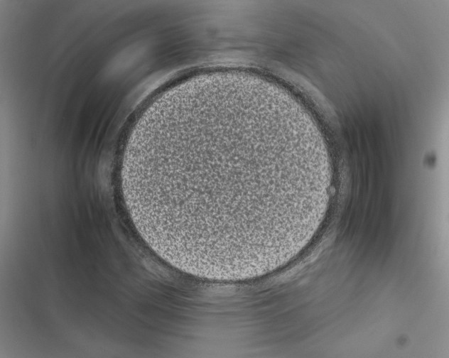 X0000116601162201001221252