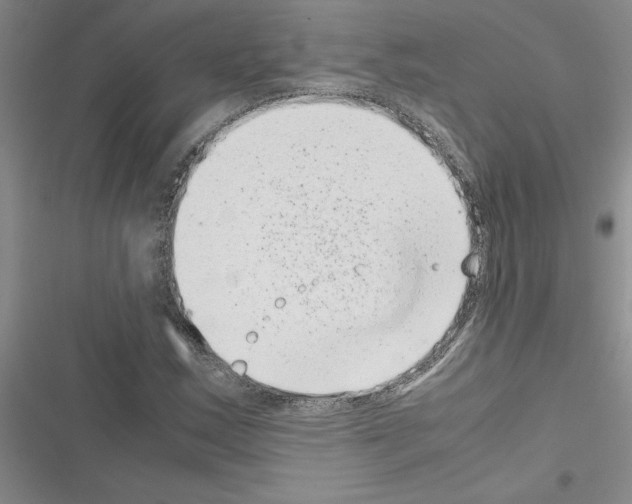 X0000116601163201001221252