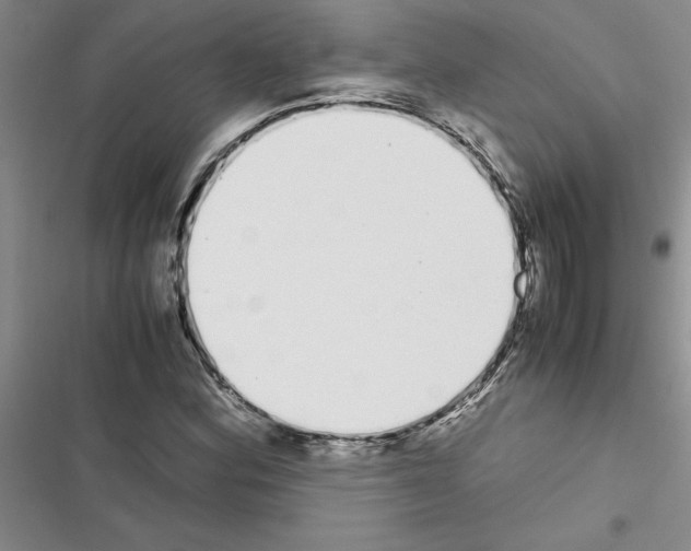 X0000116601164201001221251