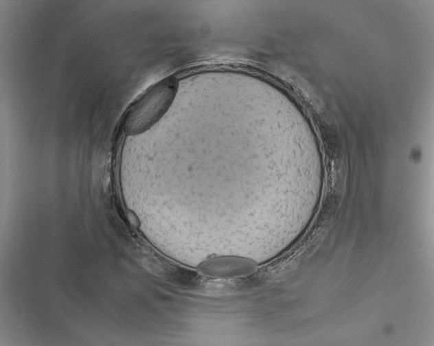 X0000116601165201001221251