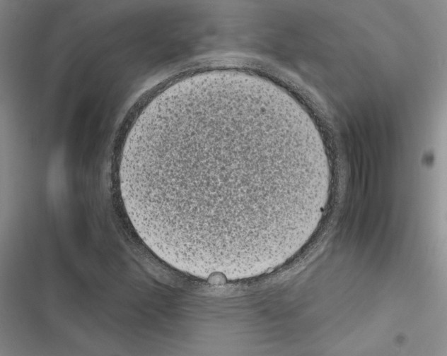 X0000116601166201001221251