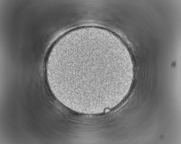 X0000116601167201001221251