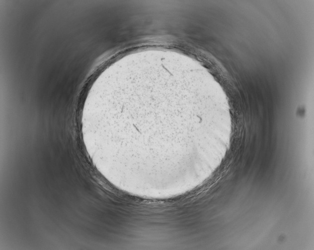 X0000116601168201001221251