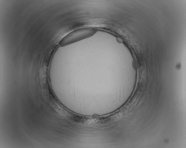 X0000116601169201001221251