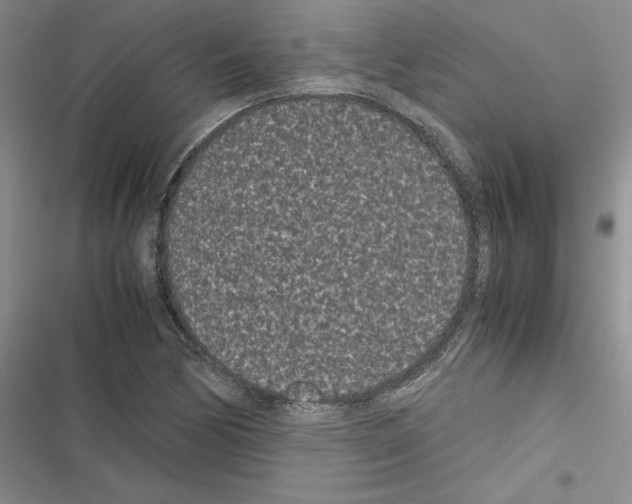 X0000116601170201001221251