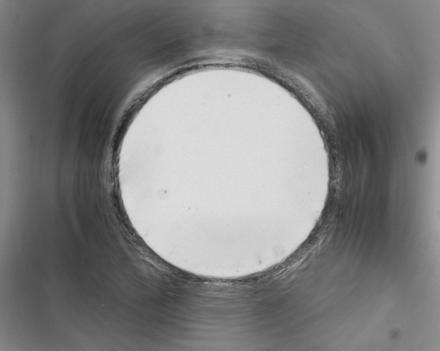 X0000116601172201001221251
