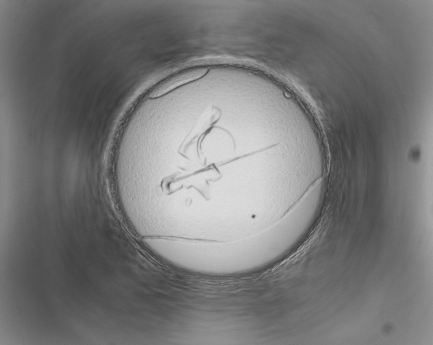X0000116601173201001221251