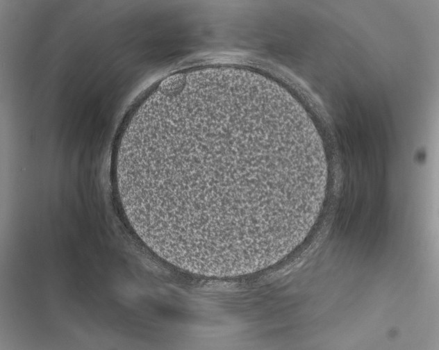 X0000116601174201001221251