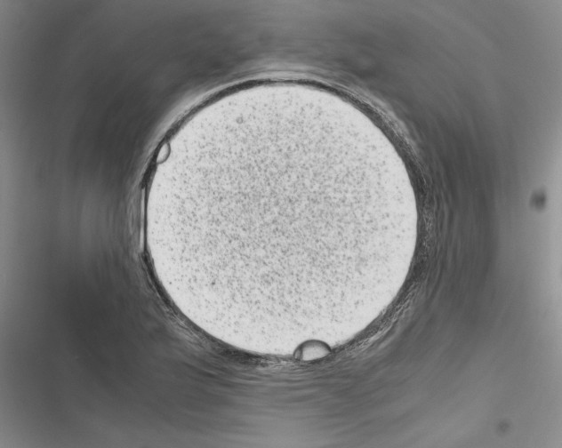X0000116601175201001221251