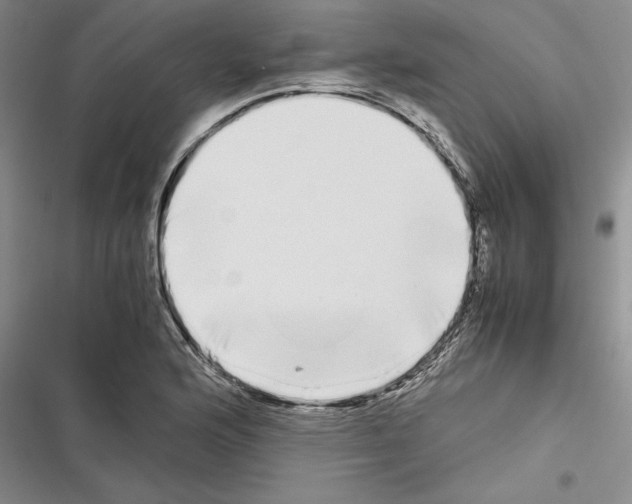 X0000116601176201001221251