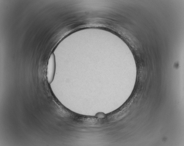 X0000116601177201001221251