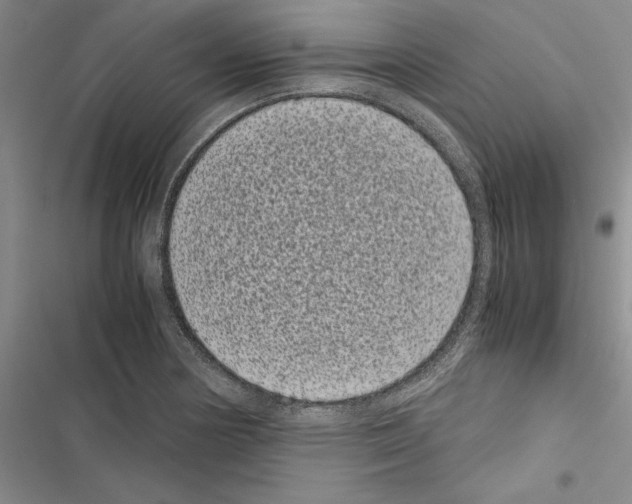 X0000116601178201001221251
