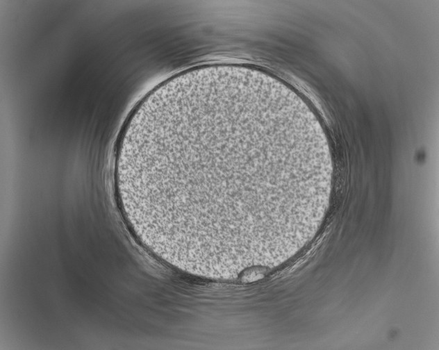 X0000116601179201001221251
