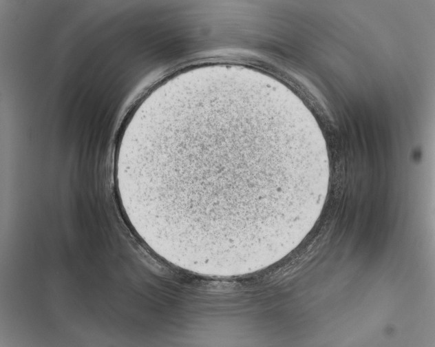 X0000116601180201001221251