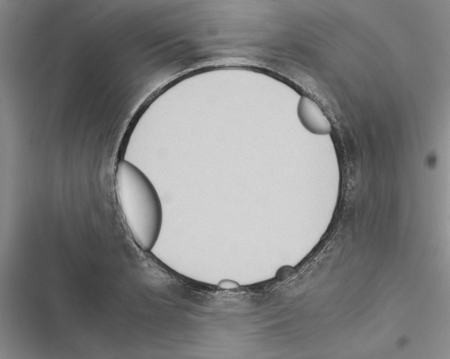 X0000116601181201001221251