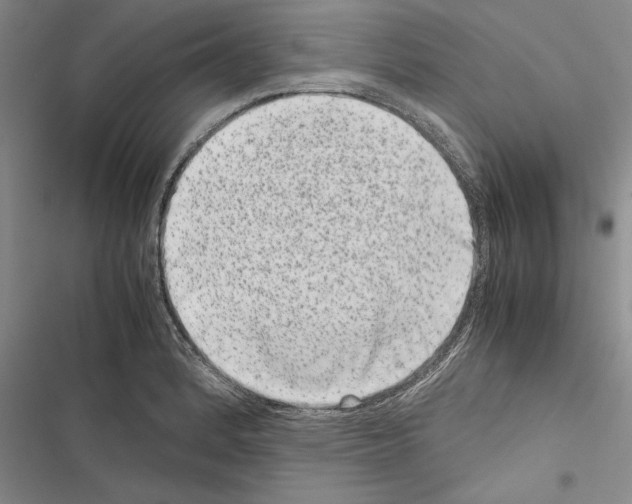 X0000116601184201001221251