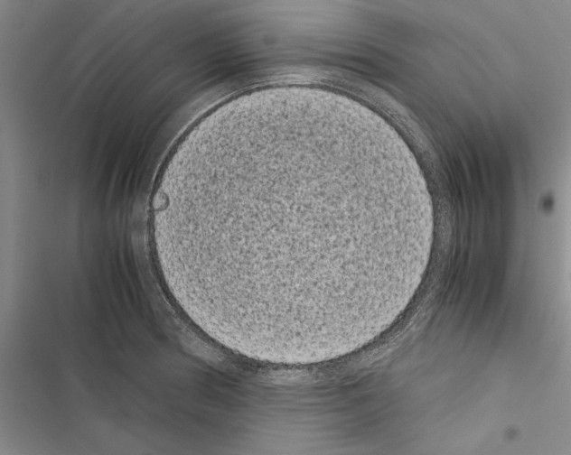 X0000116601186201001221251