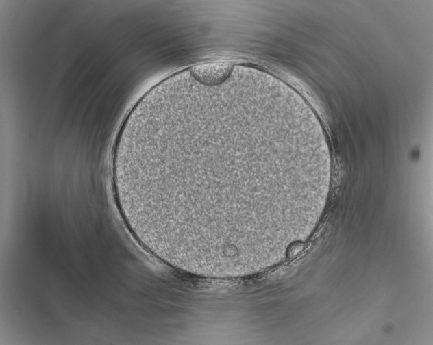 X0000116601187201001221251