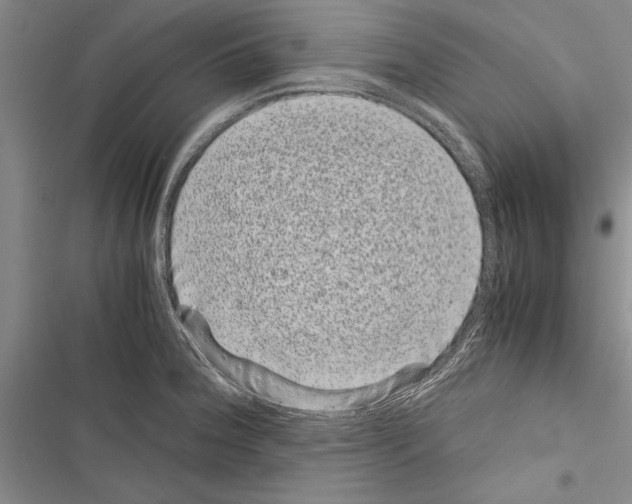 X0000116601188201001221251