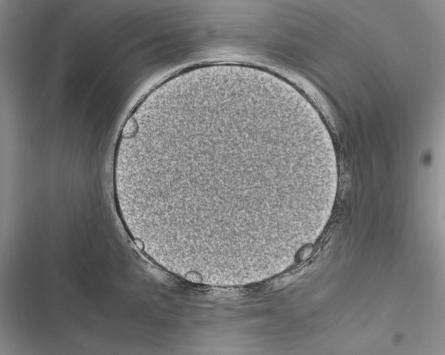 X0000116601191201001221251