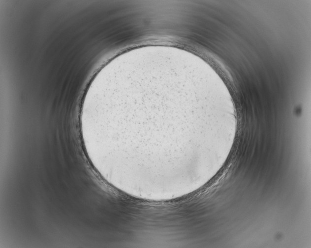 X0000116601192201001221251