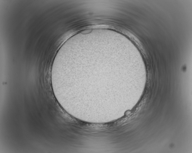 X0000116601193201001221251