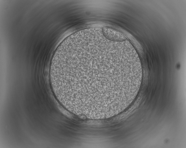 X0000116601194201001221251