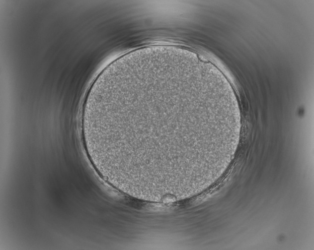 X0000116601195201001221251