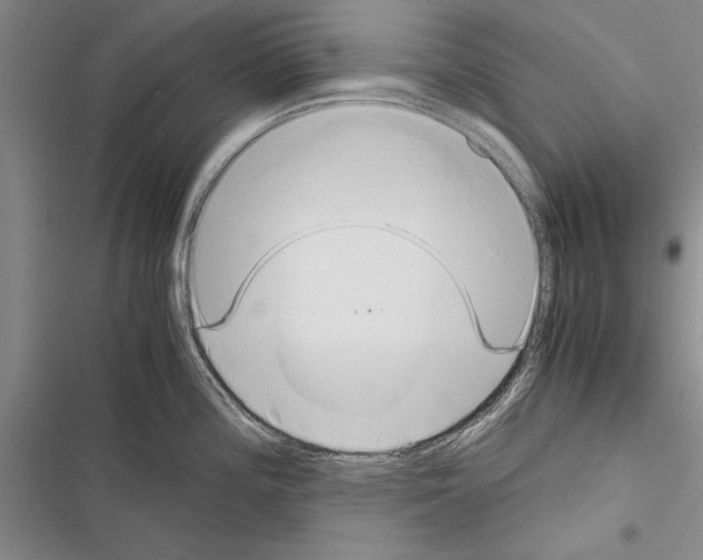 X0000116601196201001221251