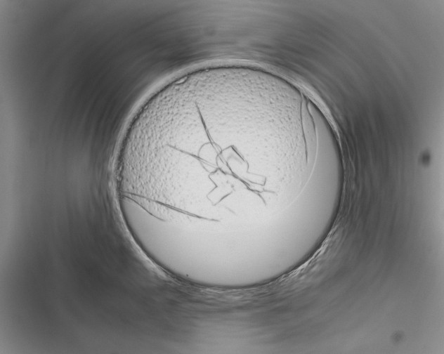 X0000116601197201001221251