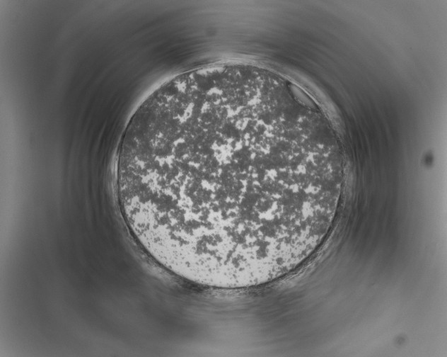 X0000116601198201001221251