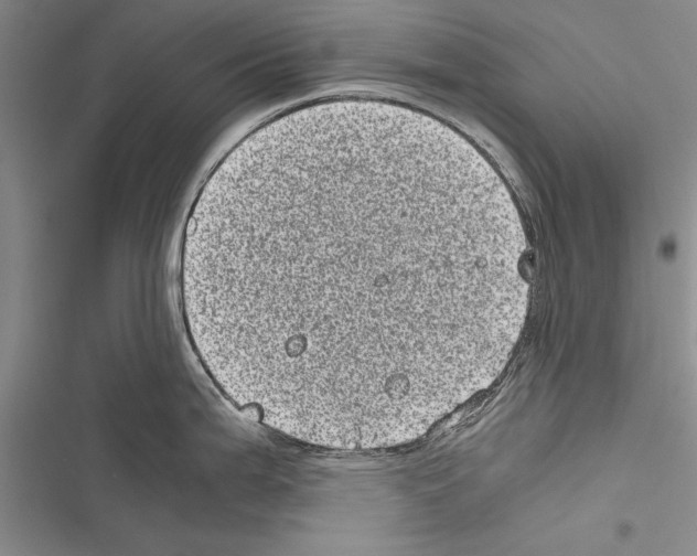 X0000116601199201001221251