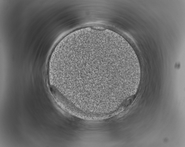 X0000116601200201001221251