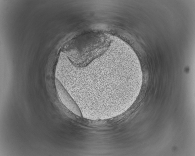 X0000116601201201001221250