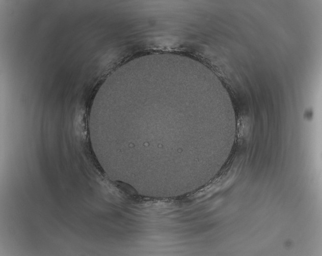 X0000116601202201001221250
