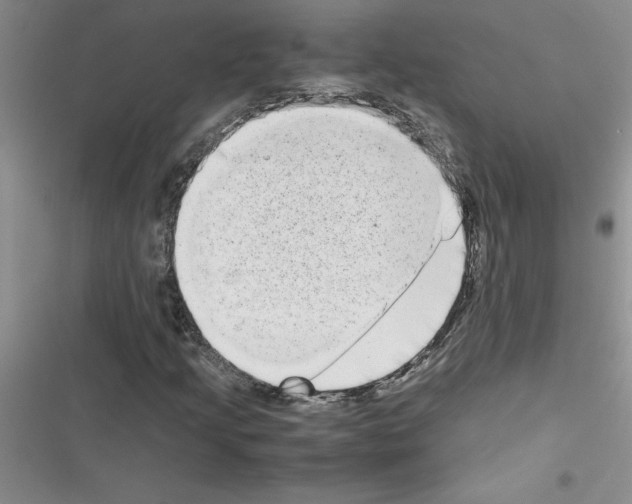 X0000116601205201001221250