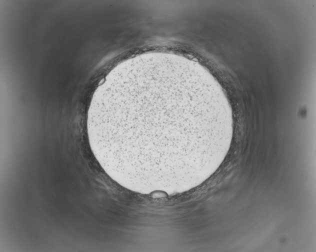 X0000116601206201001221250