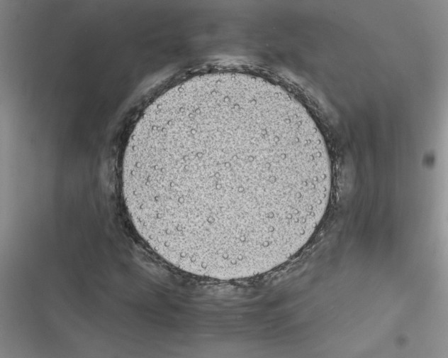 X0000116601207201001221250