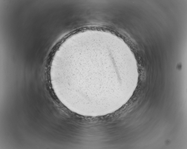 X0000116601208201001221250