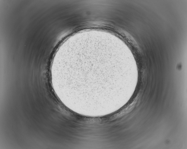 X0000116601210201001221250
