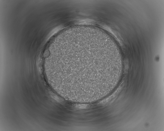 X0000116601211201001221250