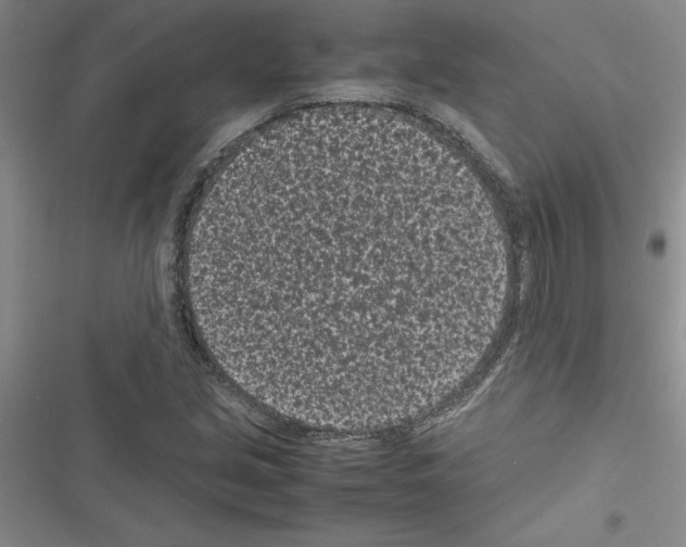 X0000116601213201001221251