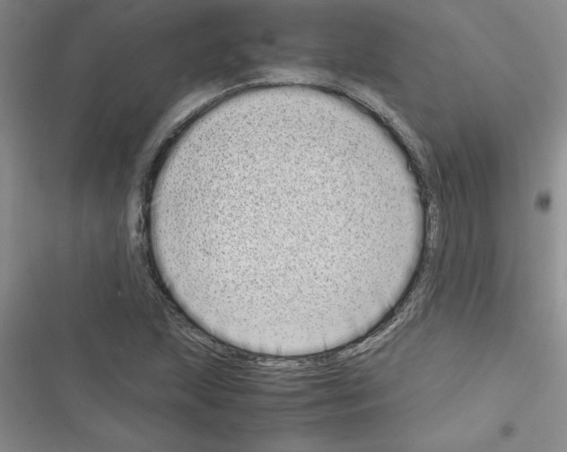 X0000116601215201001221251