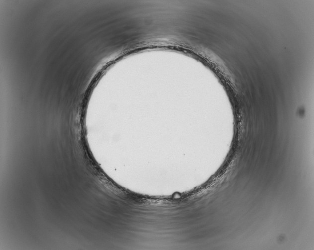 X0000116601218201001221251