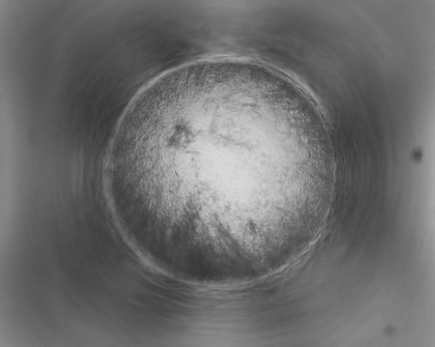 X0000116601220201001221251
