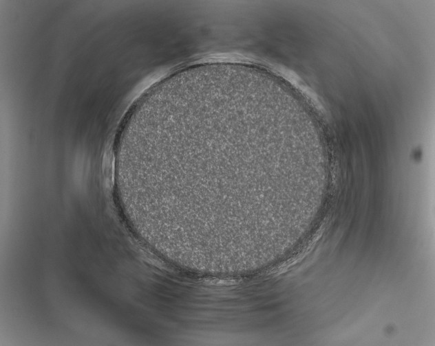 X0000116601221201001221251
