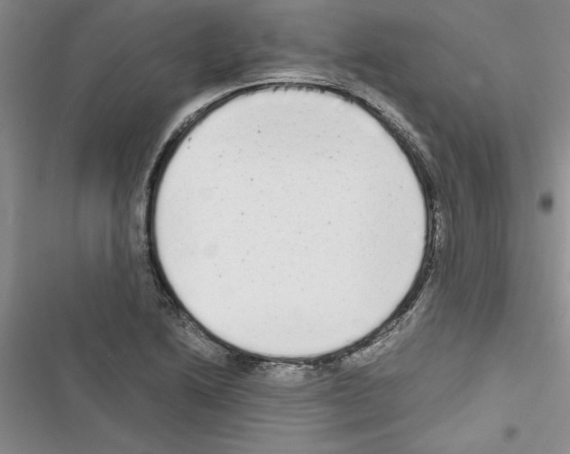 X0000116601222201001221251