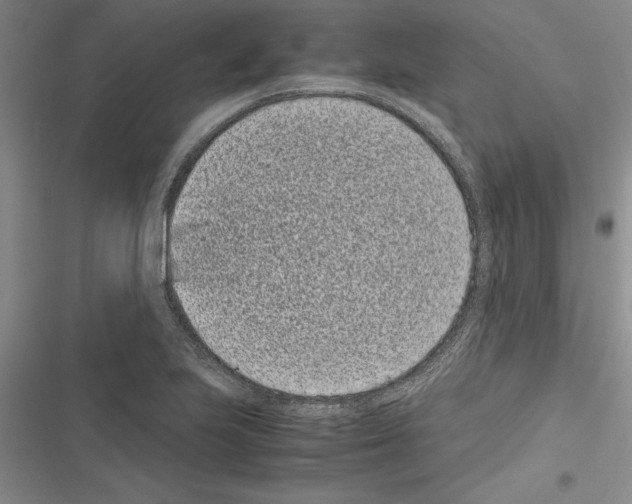 X0000116601223201001221251